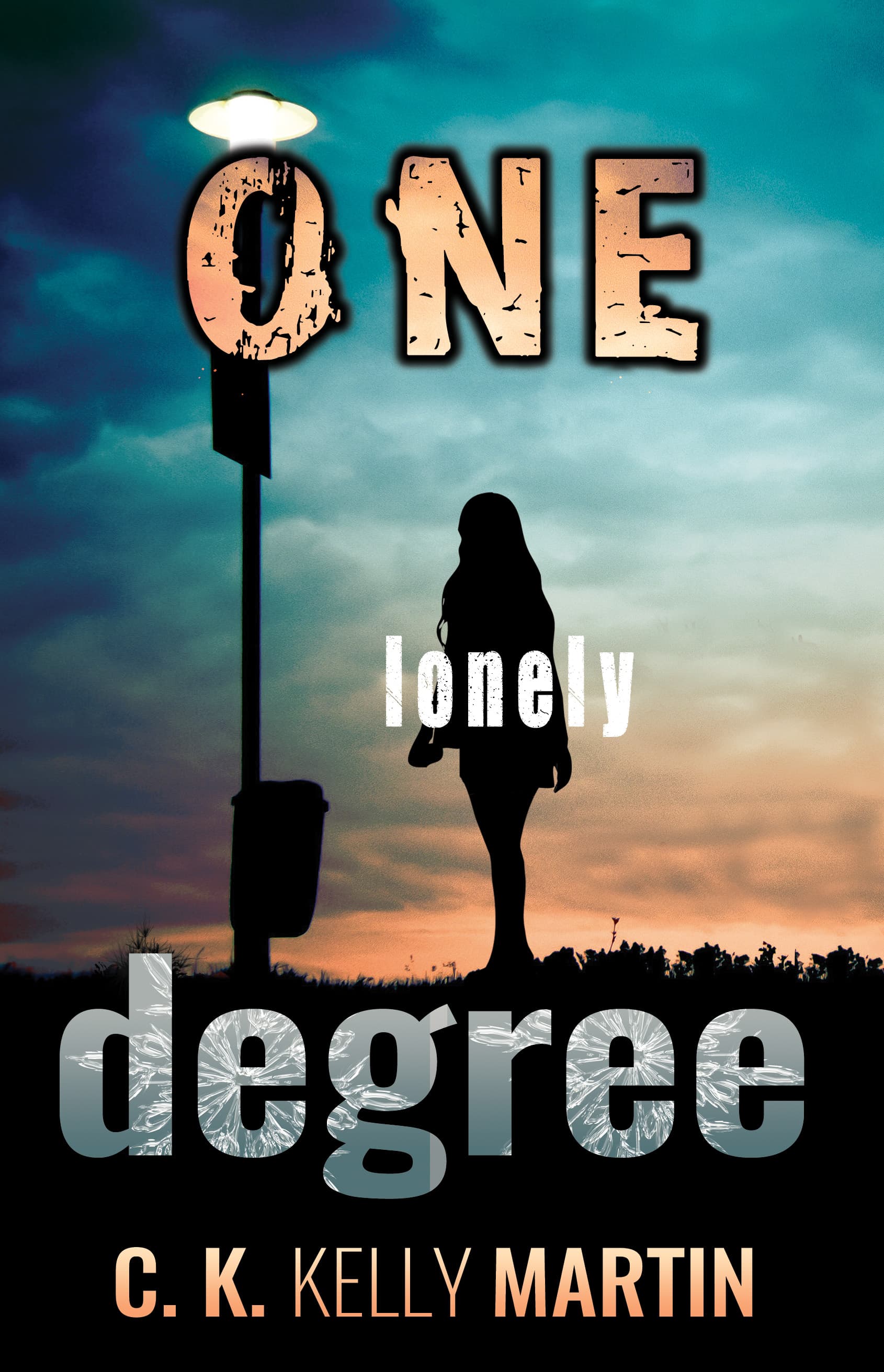 One Lonely Degree book cover