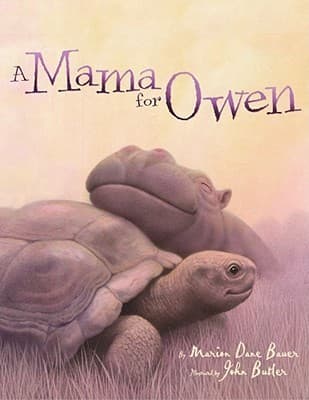 A Mama for Owen book cover