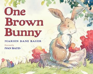 One Brown Bunny book cover