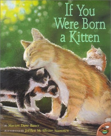 If You Were Born a Kitten book cover