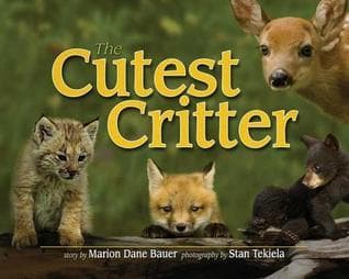 Cutest Critter book cover