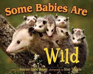 Some Babies Are Wild book cover