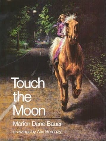 Touch the Moon book cover