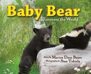 Baby Bear Discovers the World book cover