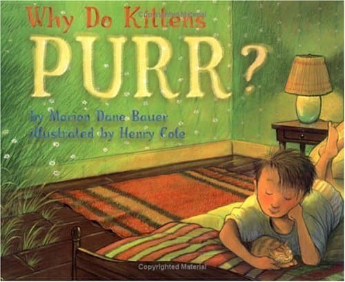 Why Do Kittens Purr? book cover