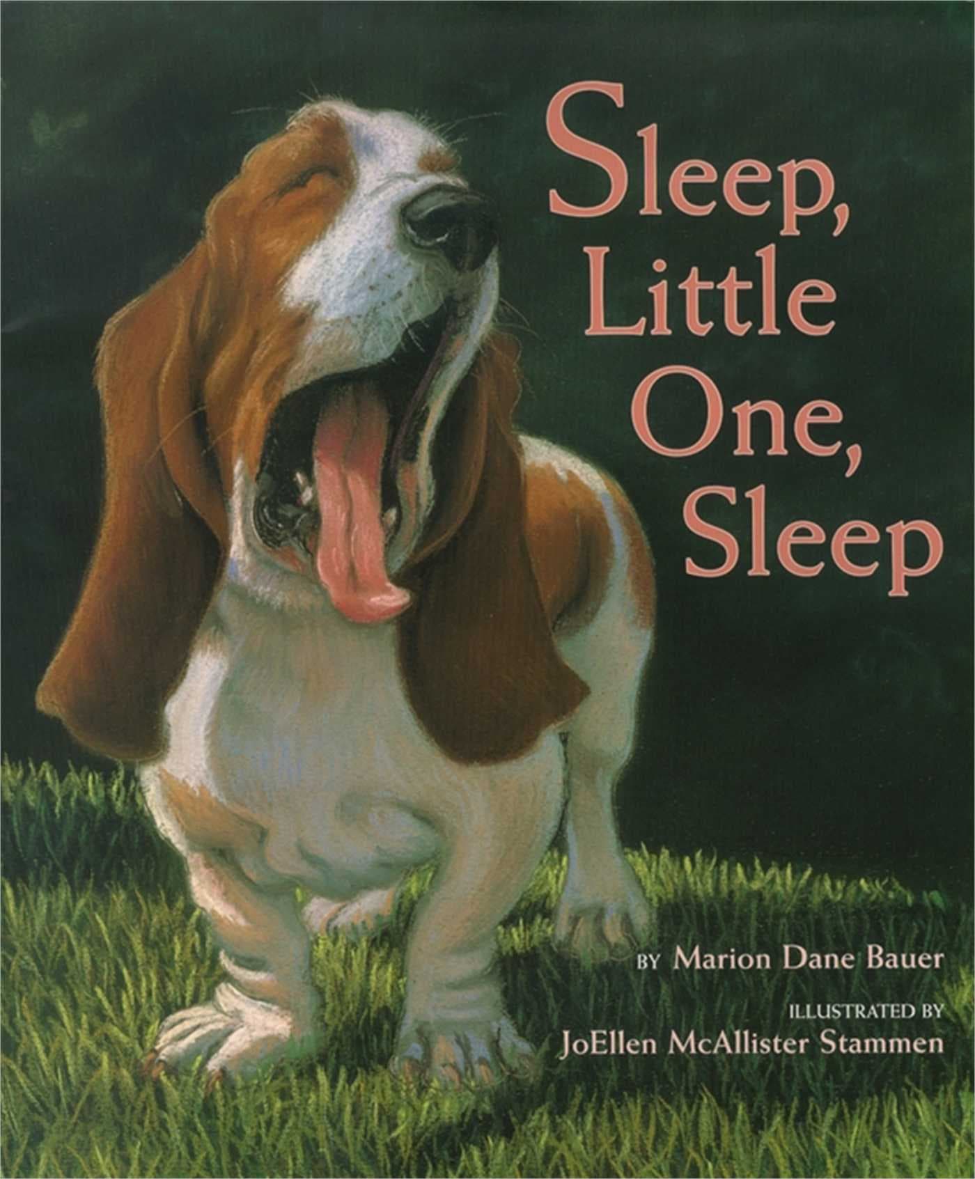 Sleep, Little One, Sleep book cover