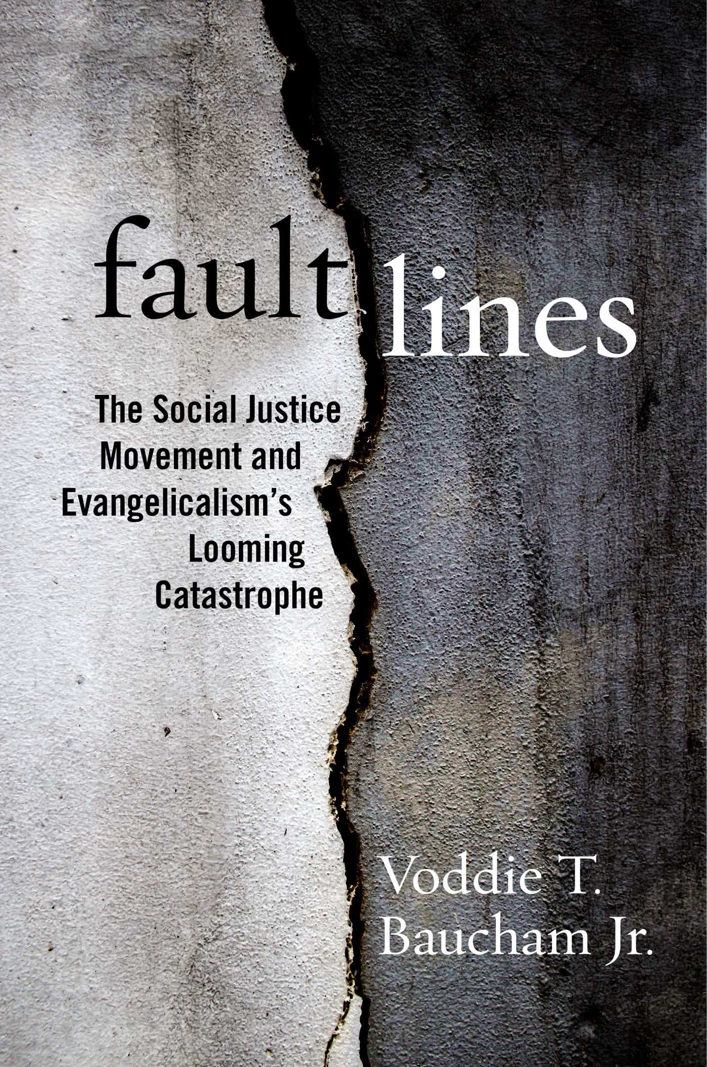 Fault Lines: The Social Justice Movement and Evangelicalism's Looming Catastrophe book cover