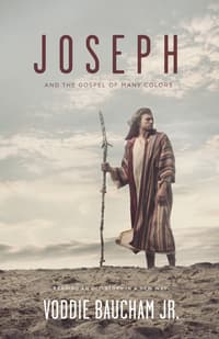 Joseph and the Gospel of Many Colors: Reading an Old Story in a New Way book cover