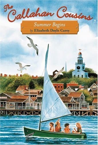 Summer Begins book cover