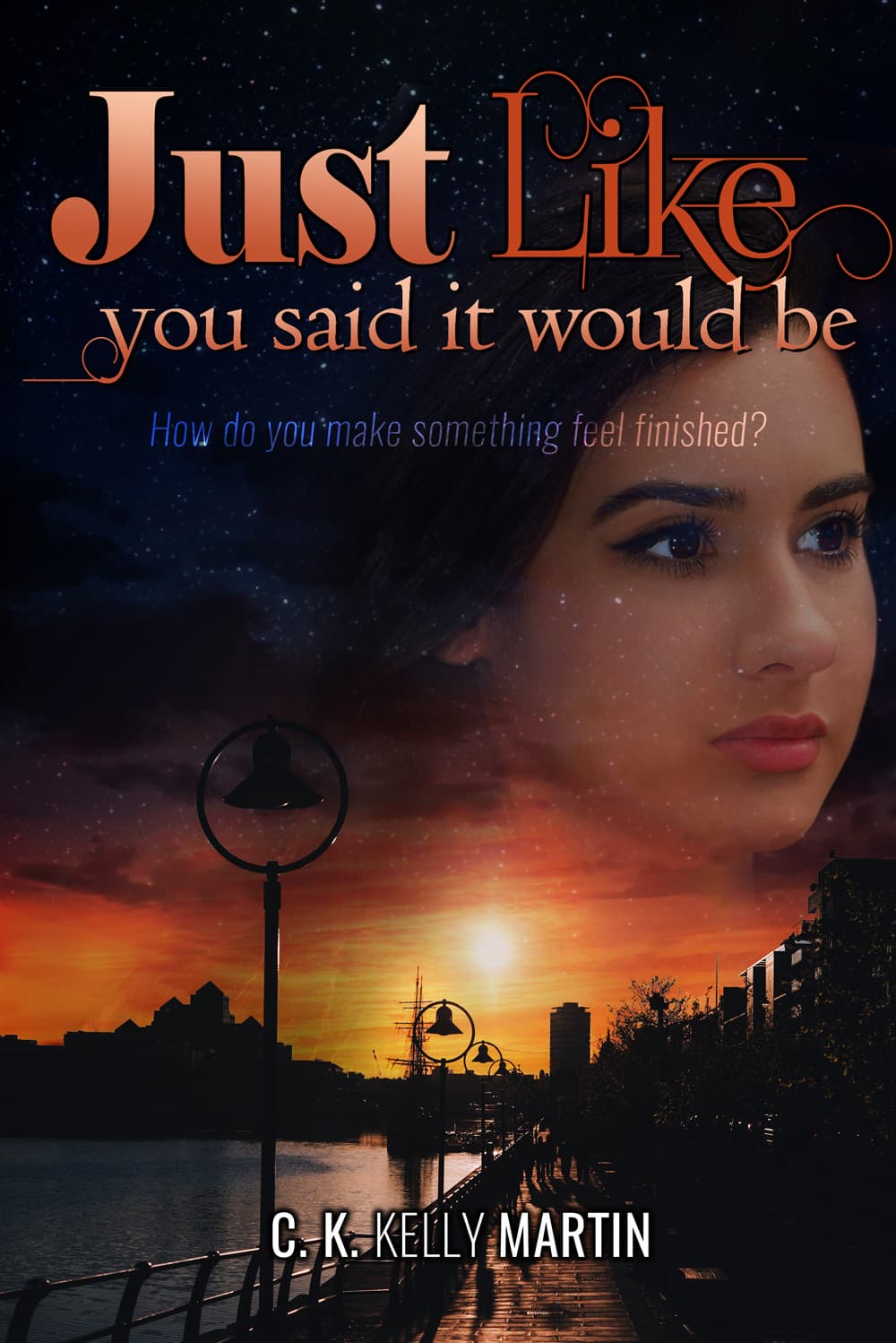 Just Like You Said it Would Be book cover