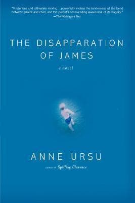 The Disapparation of James book cover