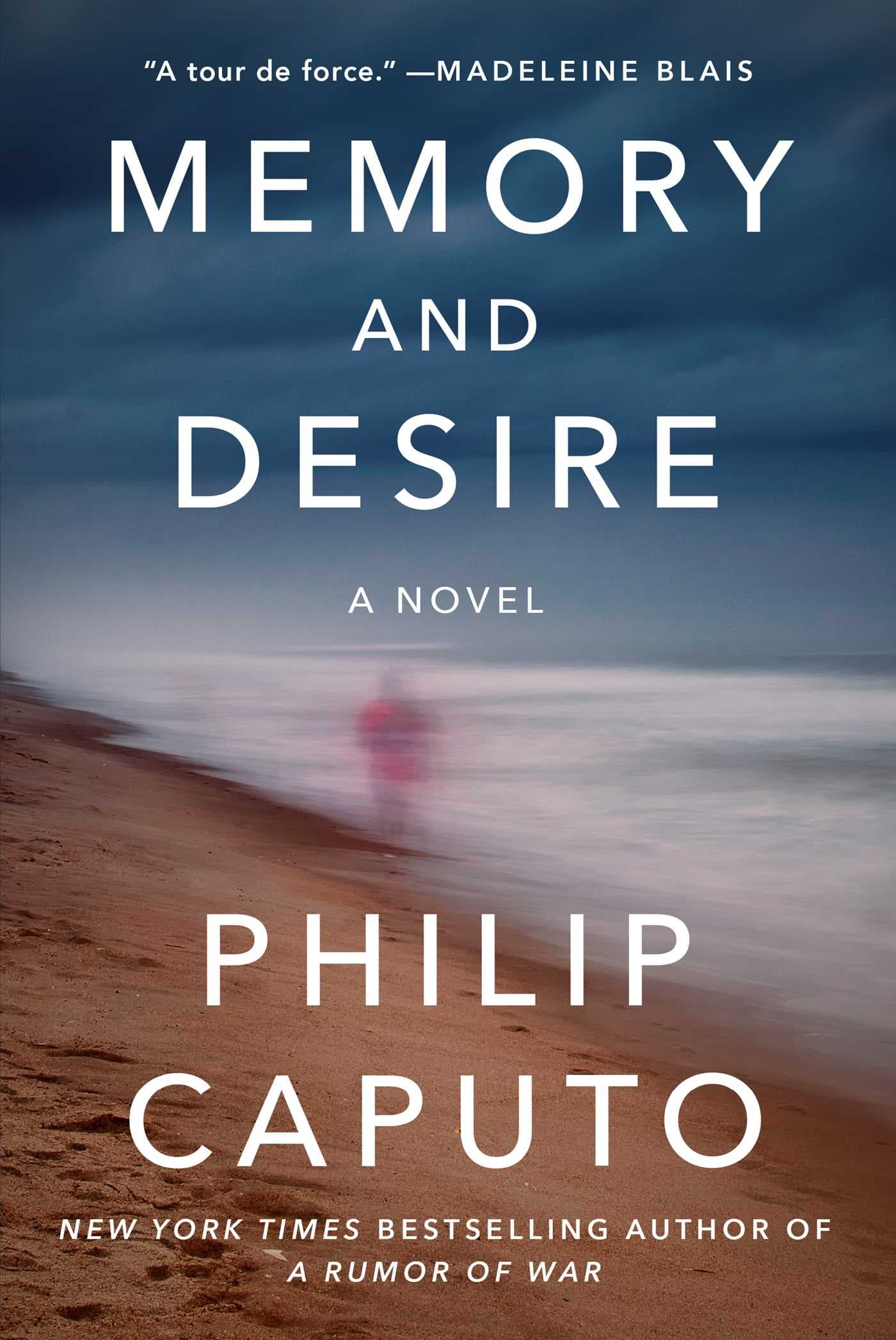 Memory and Desire book cover