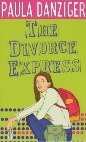 The Divorce Express book cover