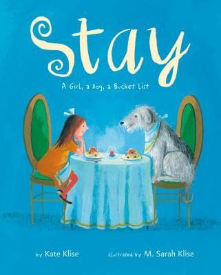 Stay: A Girl, a Dog, a Bucket List book cover