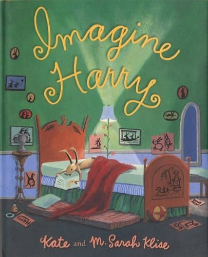 Imagine Harry book cover