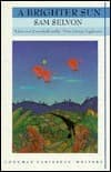 Brighter Sun book cover