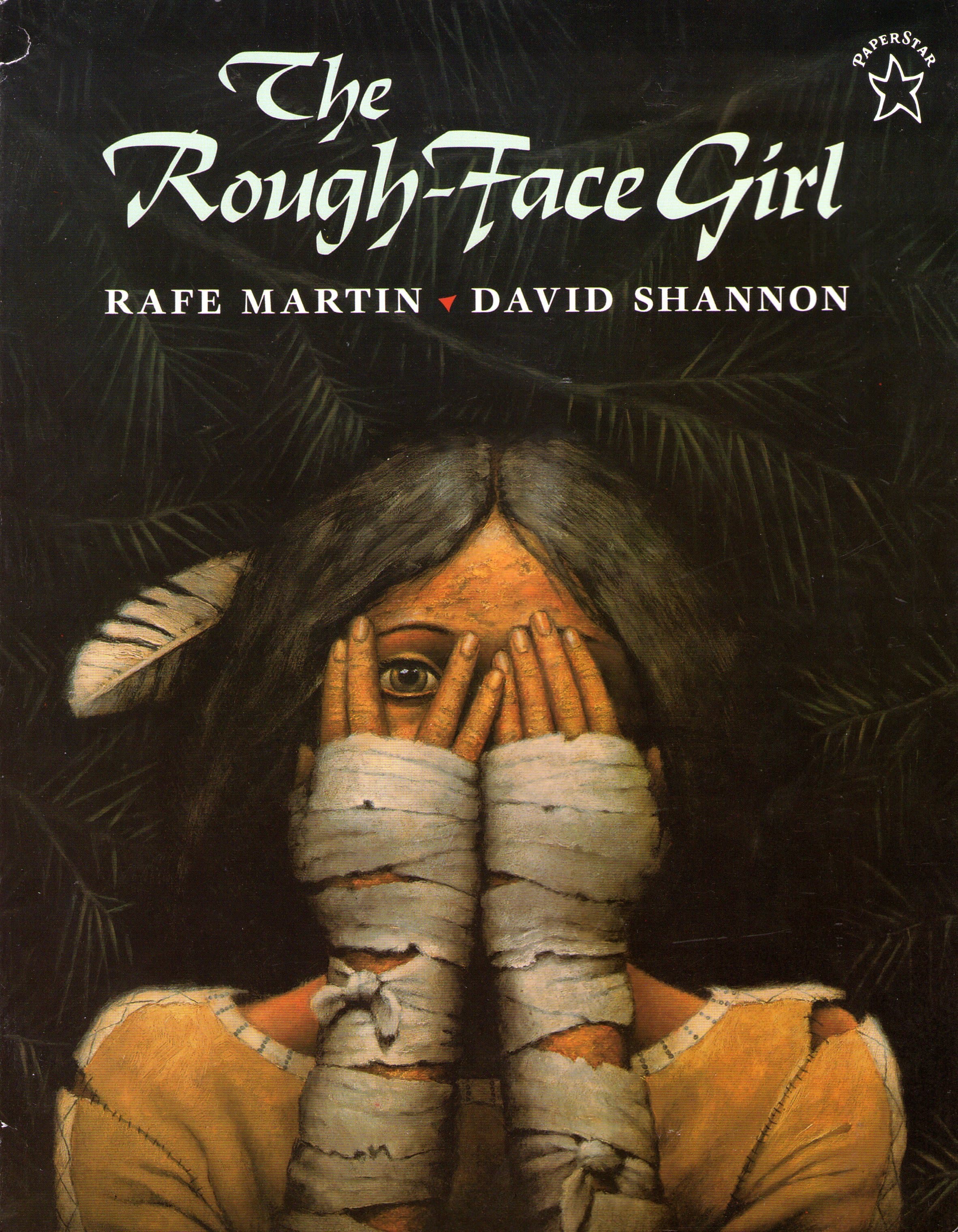 The Rough-Face Girl book cover