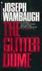 The Glitter Dome book cover
