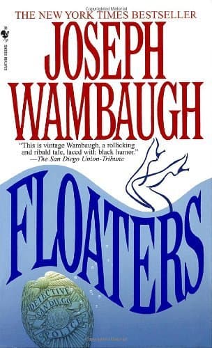 Floaters: A Novel book cover