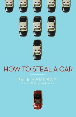 How to Steal a Car book cover