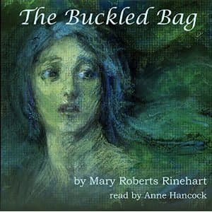 The Buckled Bag book cover