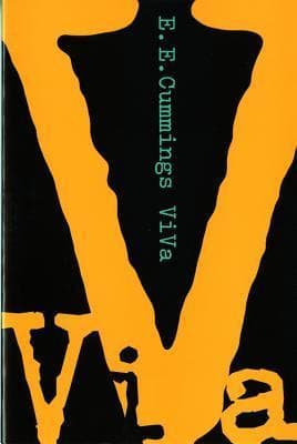 ViVa book cover