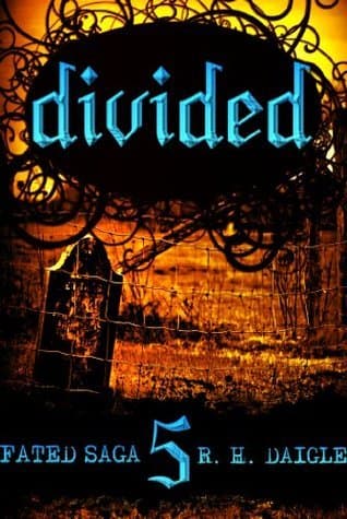 Divided book cover