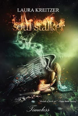 Soul Stalker book cover
