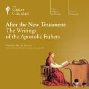 After the New Testament: The Writings of the Apostolic Fathers book cover