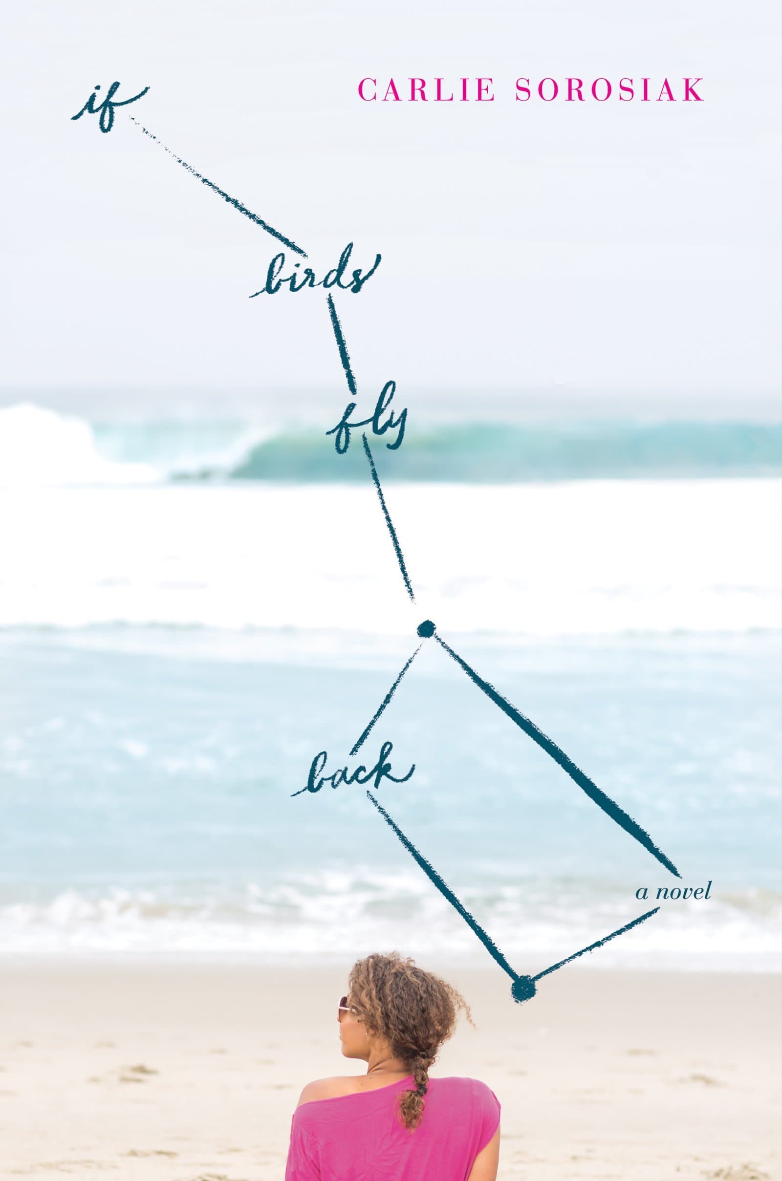 If Birds Fly Back book cover