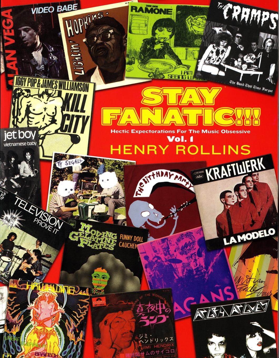 Stay Fanatic!!! Hectic Expectorations For The Music Obsessive book cover