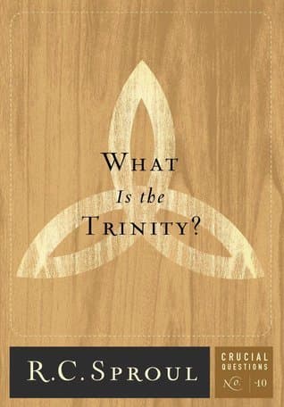 What Is The Trinity? book cover