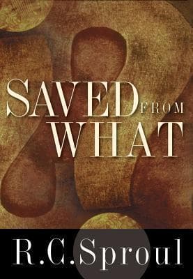 Saved from What? book cover