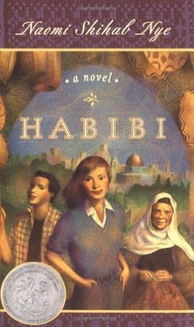 Habibi book cover