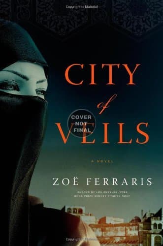 City of Veils book cover