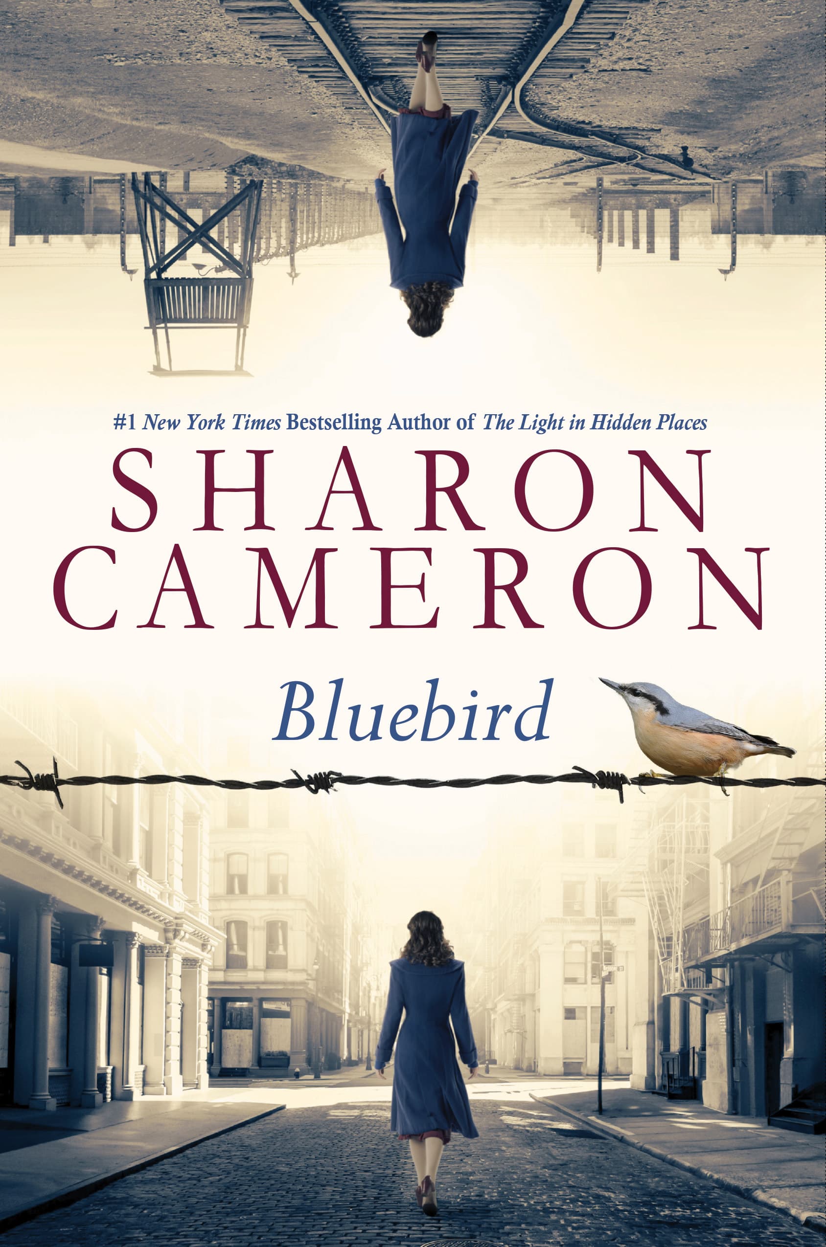 Bluebird book cover