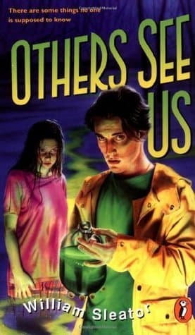 Others See Us book cover