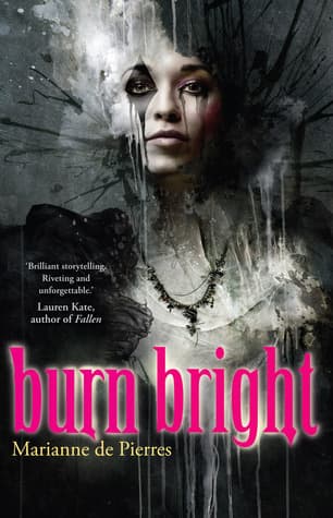 Burn Bright book cover
