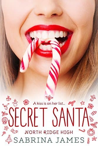 Secret Santa: What Do You Want For Christmas? book cover