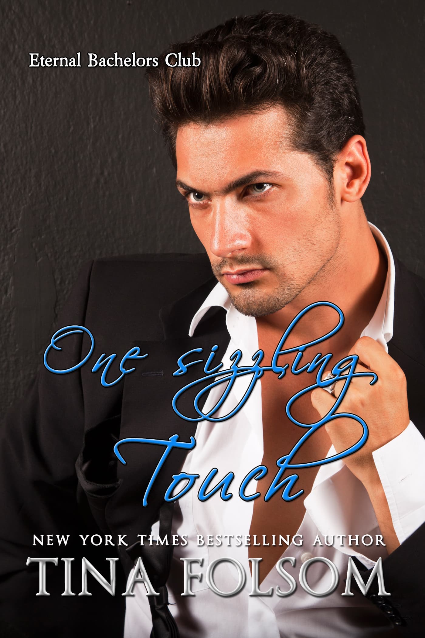 One Sizzling Touch book cover