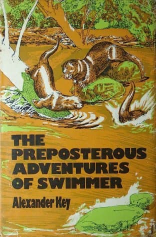 The Preposterous Adventures of Swimmer book cover