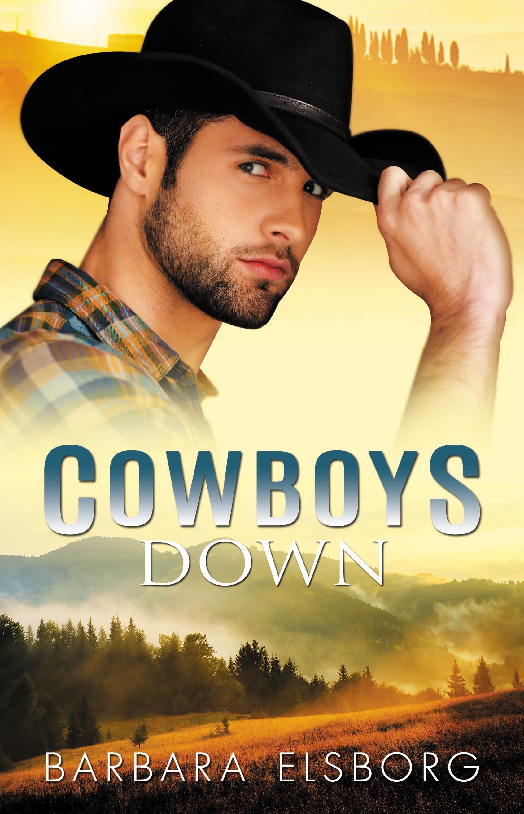 Cowboys Down book cover