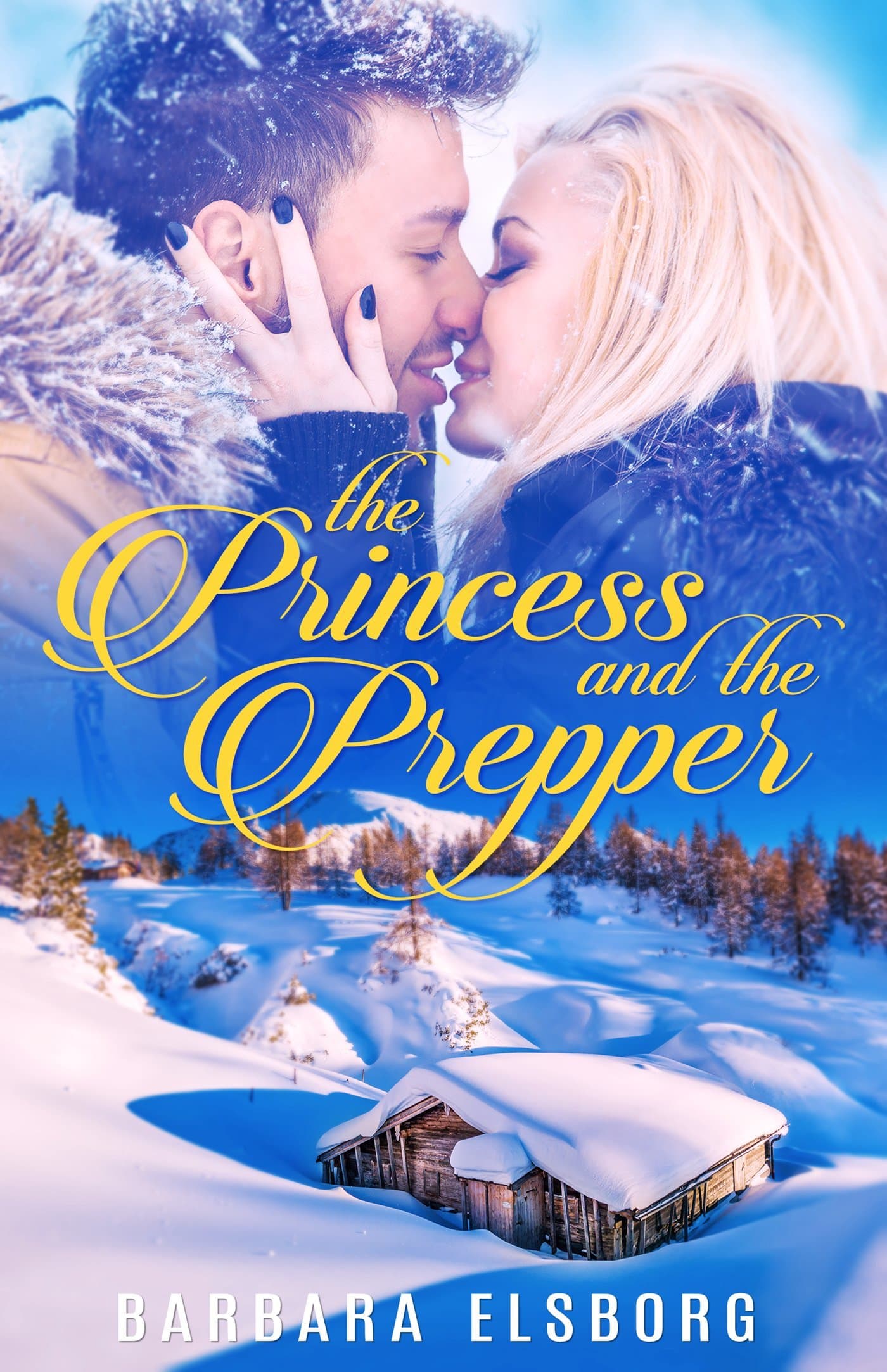 The Princess and The Prepper book cover