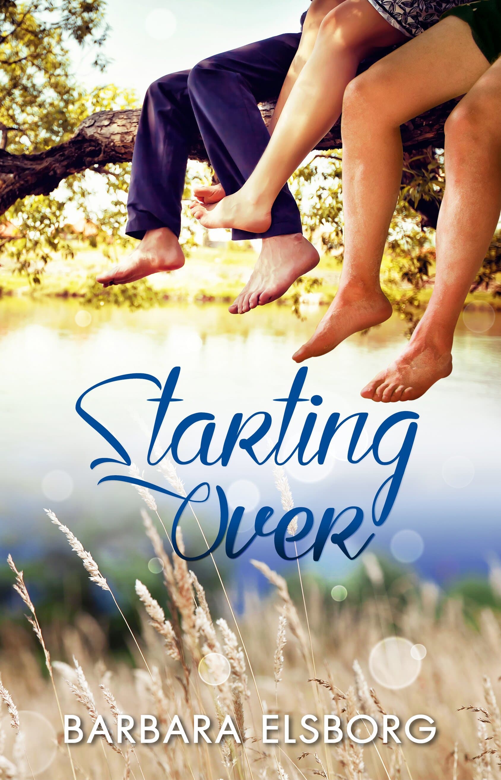 Starting Over book cover