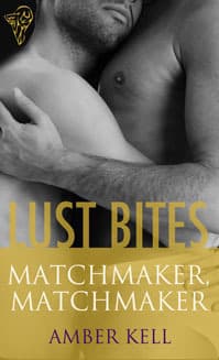 Matchmaker, Matchmaker book cover