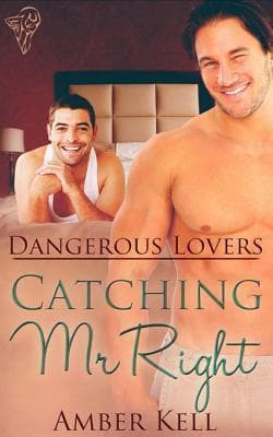 Catching Mr Right book cover