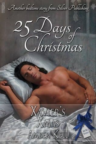 Xavier's Xmas book cover