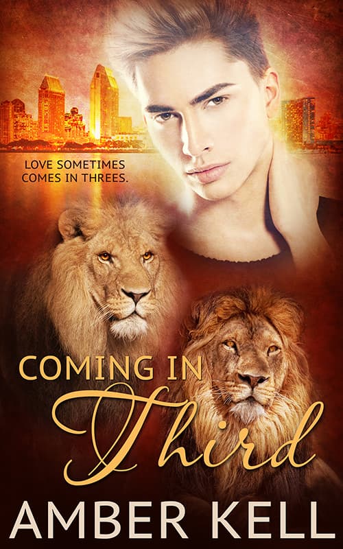 Coming in Third book cover