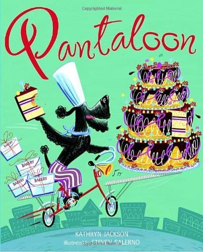 Pantaloon book cover