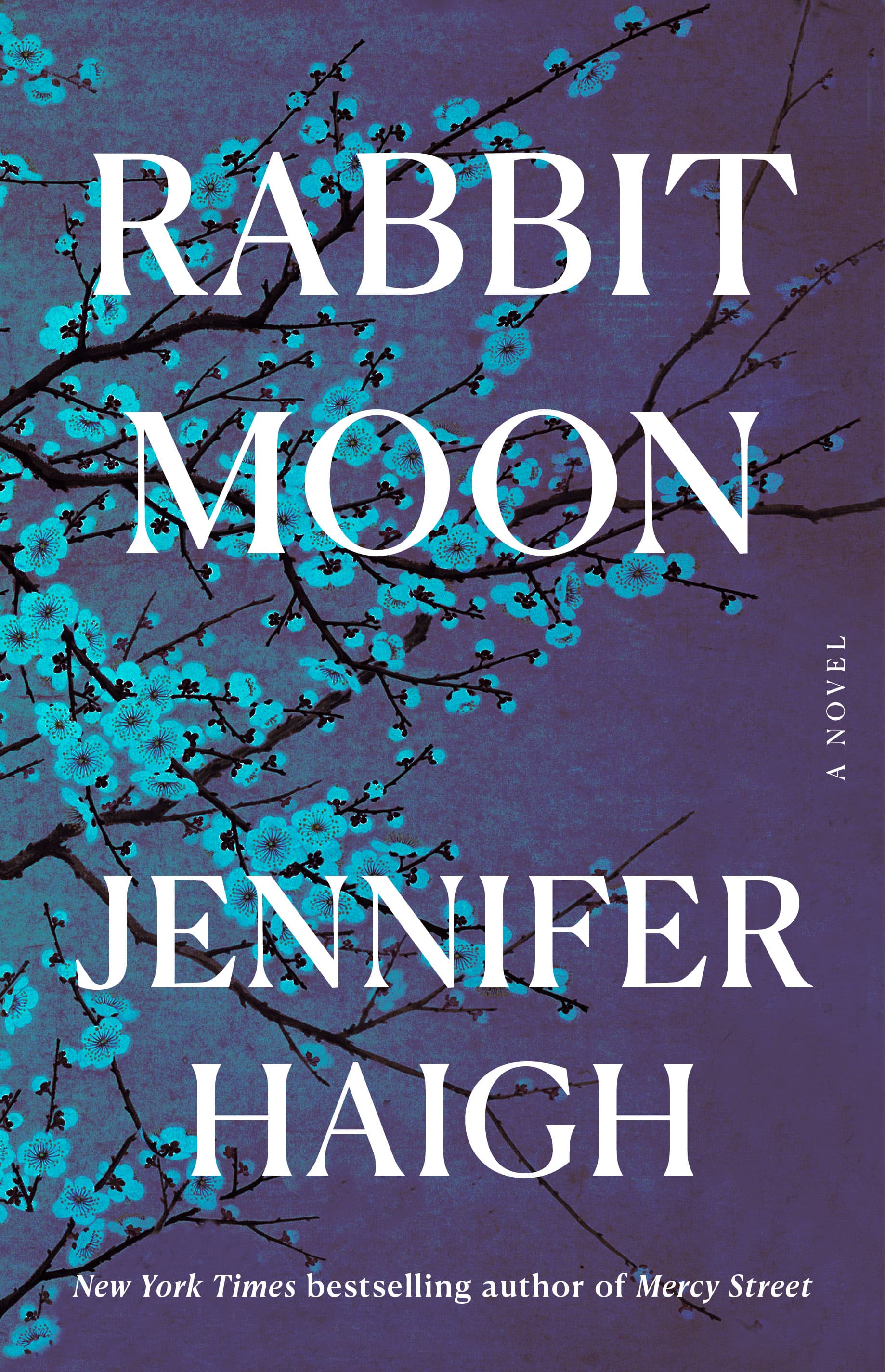 Rabbit Moon book cover